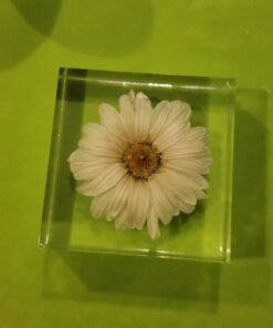 LET'S RESIN Epoxy Resin Molds, Resin Casting Molds Silicone Square Ball Molds 9PCS Different Sizes,Silicone Resin Molds for Resin Jewelry,Specimen DIY 29 61Px2Xpa1gL