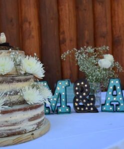 Safari Ltd. Gray Wolf Figurine - Detailed 3.75" Plastic Model Figure - Fun Educational Play Toy for Boys, Girls & Kids Ages 1+ 33 61PxGJpHgL