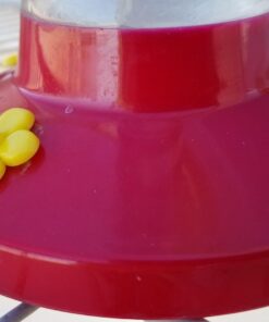 Perky Pet 202FB 9 Piece Yellow Hummingbird Feeder Replacement Flowers 9 61Q3Yt6ZjmL