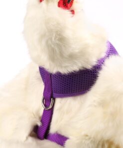 Alternative view of Chicken Harness (Purple, X-Small) Purple