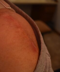 More Birds Abundance Bird Feeder, Combination Mixed Seed and Thistle, 6 Feeding Ports, 3.5 lb Seed Capacity Medium 26 61Q7HLQCN2L