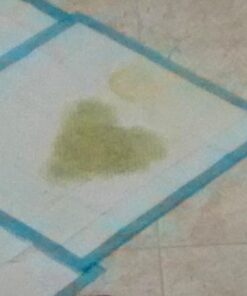 Four Paws Wee-Wee Superior Performance Pee Pads for Dogs - Dog & Puppy Pads for Potty Training - Dog Housebreaking & Puppy Supplies - 22" x 23" (150 Count),White 150 34 61QDvH4OaXL