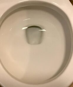 PUMIE Toilet Bowl Ring Remover, TBR-6, Grey Pumice Stone with Handle, Removes Unsightly Stains from Toilets, Sinks, Tubs, Showers, Pools, Safe for Porcelain, 1 Pack 1 Count (Pack of 1) 73 61QFhmxzzKL