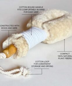 Ginger Chi Dry Brush for Skin, Dry Brushes for Body - Natural Bristle Brush for Dry Brushing Skin (Sisal Dry Brush) 16 61QIr41y3wL