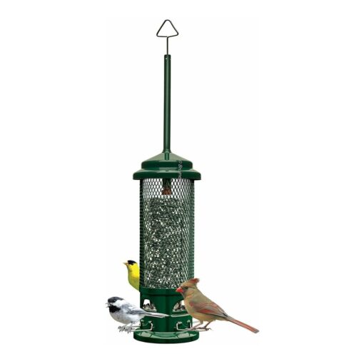 Squirrel Buster Legacy Squirrel-proof Bird Feeder w/4 Metal Perches, 2.6-pound Seed Capacity garden green