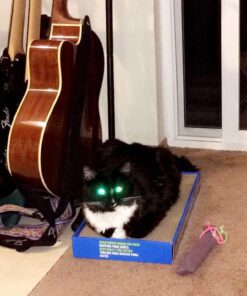 Catit Cat Scratcher, Wide Cat Board 26 61QKzd2Ww3L