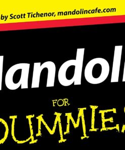 Mandolin For Dummies Paperback 5 61QMbPusrmS