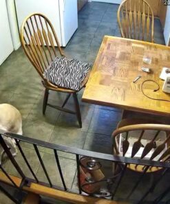 JideTech 5MP PTZ WiFi Camera Outdoor, 5X Optical Zoom Dome Camera with Human/Motion Detection, Auto Tracking, Wireless IP Camera with Mic/Audio, MicroSD (128GB), IR Night Vision, IP66 Weatherproof 74 61QTN1hJhnL