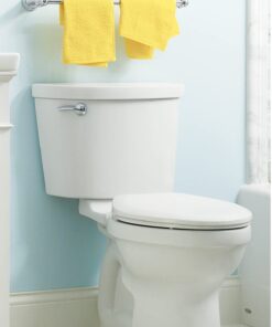 American Standard 211AA004.020 Champion Toilet, White 5 61QfqIl1vIL