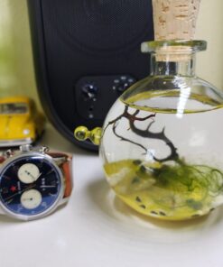 Shrimp Bubble Glass Self-Sustaining Ecosystem Amber 30 61QiVz4O1HL