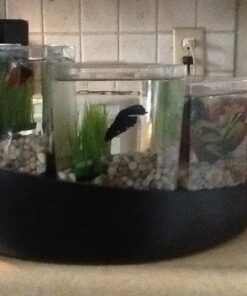 Aqueon Betta Falls 3 Section Aquarium Fish Tank With QuietFlow Power Filtration, Black 69 61QkXtfIsXL