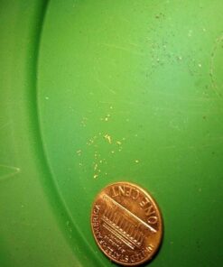 Portable Sluice Box for Gold Mining and Prospecting; Includes Miner's Moss, Hungarian Style riffles, and deep V riffles. Essential Tool for Gold panning Kits Sluice Box and Flare (Black) 21 61Qm3iPcmFL