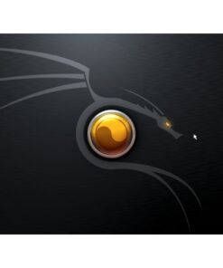 Hacking Is Easy with Backtrack Linux 5 Revision 2- Includes DVD and WEP Hacking Guide 7 61QwDzlDlIL