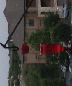 More Birds Red Jewel Hummingbird Feeder, Glass Hummingbird Feeders for Outdoors, 5 Feeding Stations, 20 Ounces Standard Packaging 37 61R3jzFvzgL