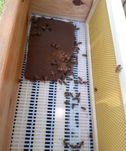 Mann Lake Bee-Pro Patties with Pro Health, Ready-to-Feed High Protein Pollen Substitute, Beekeeping Supplies, 10 lb 10 Pound (Pack of 1) 35 61R69ZrjraL