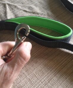 Mighty Paw Dual Handle Dog Leash - Reflective Lead with Two Handles - Dual Dog Leash Long - 2 Handle Dog Lead - Dog Leash with Traffic Loop Dog Leash 6 Foot (Grey/Green) Grey/Green 36 61REfn1PWgL