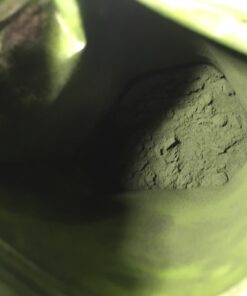 BulkSupplements.com Chlorella Powder - Green Superfood Powder - Greens Supplements - Chlorophyll Powder - Greens Powder - 3g per Serving, Broken Cell Wall (250 Grams - 8.8 oz) 8.8 Ounce (Pack of 1) 28 61RGkgft1zL