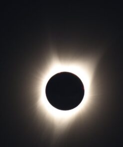 Nikon 200-500mm f/5.6E ED AF-S VR Zoom NIKKOR Lens- Bundle with 95mm Filter Kit, Flex Lens Shade, Cleaning Kit, Cap Leash, Software Package 37 61RNXDnoTEL