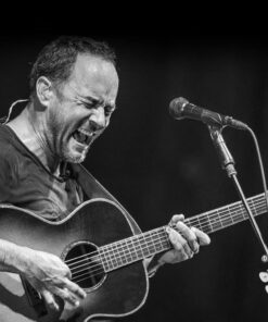 JIM DUNLOP 44P73 .73mm Nylon Standard Guitar Picks, 12-Pack 12 Pack 13 61RPIg9ZksL