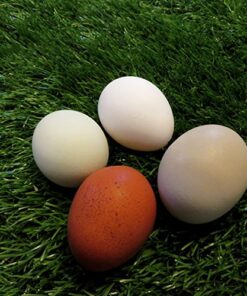 Chicken Turf Nest Box Liners