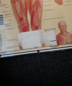 Trigger Points (Quick Study Academic) Pamphlet, Illustrated 17 61RUb92jKSL