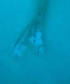 Purity Pool OS Out Spot Stain Remover 26 61RUxAEywcL