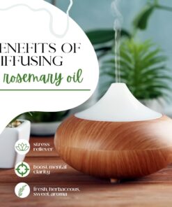 Rosemary Essential Oil - 1 fl oz - 100% Pure Essential Oil - GreenHealth Rosemary 16 61Ra82HPsBL