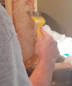 ZXUY Bee Keeping Stainless Steel Uncapping Fork 5 61Rb7J6uNGL