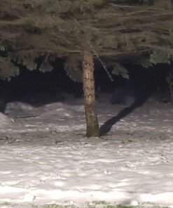 SOLLA 150W LED Flood Light, IP66 Waterproof, 12000lm, 800W Equivalent, Super Bright Outdoor Security Lights, 3000K Warm White, Outdoor Floodlight for Garage, Garden, Lawn and Yard 33 61Rbjj5dXUL