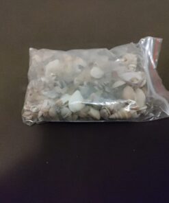 Tiny Miniature Fairy Garden Beach Critter Seashells Marine Life Collection for Art & Craft Project, Outdoor & Indoor Home Decoration, Party Favor, Invitation (4.5oz Bag, 500 Shell) 35 61Rf3Boa9SL 1