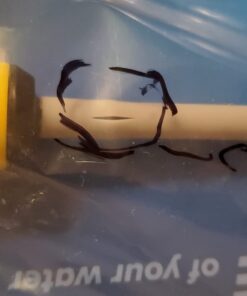 Camco Camper/RV Water Heater Tank Rinser | Improves Water Heater Function by Flushing Out Sediment | Easily Attaches to Standard Garden Hose & Features Convenient Shutoff Valve (11691) 23 61RfXUnZlGL