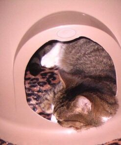 Petmate Booda Dome Cat Litter Box for Indoor Cats , Titanium, Made in USA One Size 38 61RiT1klcFL