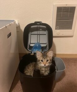 Litter Genie Plus Pail (Black) | Cat Litter Waste Disposal System for Odor Control | Includes 1 Square Refill Bag 57 61RjLikXpGL