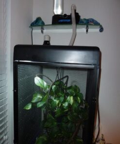 Croci Zoo Med Reptile Fogger Terrarium Humidifier,Black 22 61RmSHfwFzL