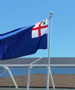 BUNKER HILL USA AMERICAN New England 3x5 BATTLE FLAG 9 61RnTyqdZGL