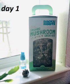 Back to the Roots Organic Oyster Mushroom Grow Kit, Harvest Gourmet Mushrooms In 10 Days 1 Count (Pack of 1) 75 61RoXpqTRL