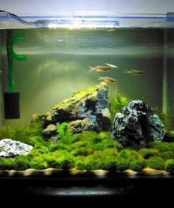 Seachem Prime Fresh and Saltwater Conditioner - Chemical Remover and Detoxifier 500 ml 31 61RsXq5WB5L