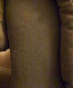 EasyLint Professional Lint Remover Fabric Shaver: The Sweater Shaver Pill Remover for Clothes & Furniture. Works with Batteries or A/C Power. Includes 2-Blades, Cleaning Brush, Case & Power Cord. 41 61RwFyUfgL 1