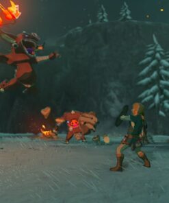 The Legend of Zelda: Breath of the Wild Special Edition (Console Not Included) Nintendo Switch 15 61RwInN1xCL 1