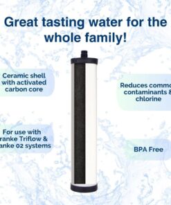 Doulton M15 UltraCarb Ceramic Drinking Water Filter Candle for Franke 02, Franke Triflow, Filterflow, All 1st Gen Steel and 2nd Gen Plastic Housings ¦ FRX01 ¦ 10 inch ¦ M15 Thread ¦ W9223021 (1 Pack) 8 61RyK7AYQNL