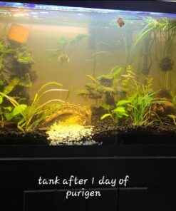 Seachem Indoor Purigen Organic Filtration Resin - Fresh and Saltwater 100 ml 39 61S0cyjLCpL