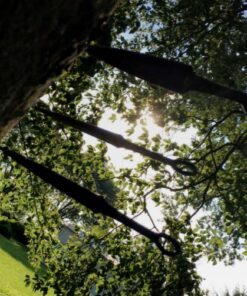 Ace Martial Arts Supply Ninja Stealth Black Throwing Knives with Nylon Case (Set of 3) Kunai 27 61SC499SxQL