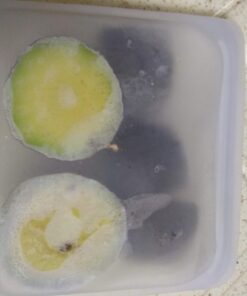 Stasher Reusable Silicone Storage Bag, Food Storage Container, Microwave and Dishwasher Safe, Leak-free, Sandwich, Clear Single 44 61SG8wdIXnL