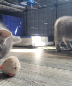 SmartyKat (3 Count) Skitter Critters Catnip Cat Toys - Gray/Cream, 3 Count Set of 3 Skitter Critter Mouse 33 61SLFRFVcRL