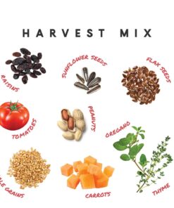 Manna Pro Harvest Delight - Whole Ingredient Chicken Treat - Harvest Mix of Grains, Raisins, Tomatoes, Carrots, Sunflower Seeds - Mixed Flock Poultry Treat - 2.5 lbs 19 61SNZwMBytL