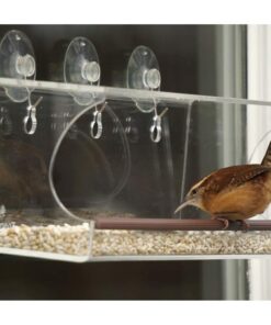 Tranquil Outdoors Large Acrylic Window Bird Feeder: Strong Removable Suction Cup Mounted Outdoor Bird House Feeder, Clear Birdfeeders for Large & Small Birds. Best See Thru Feeder for Bird Watching 46 61STG 7mZAL