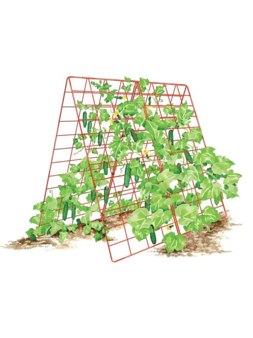 Gardeners Supply Company Deluxe Cucumber Trellis | Easy to Install Raised Garden Bed Cucumbers & Climbing Plants A-Frame Trellis | Outdoor Plant Support w/ 4" Grids for Easy Harvesting | 32"W x 46"H