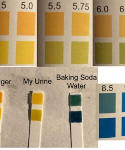 pH Test Strips 4.5 to 9.0 (200 ct) for Urine and Saliva Body pH Testing. Urinalysis Reagent Test Strips for Acidity and Alkalinity. Alkaline Diet Food and Acid pH Testing 31 61SXWwbo4mL