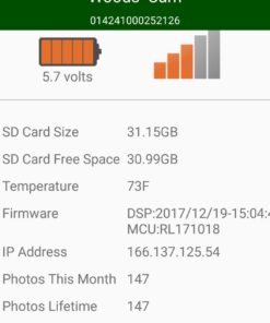 Energizer AA Batteries, Ultimate Double A Battery Lithium, 12 Count 12 Count (Pack of 1) 37 61SZP5LsgVL