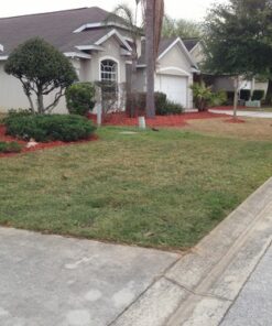 Lawnlift Ultra Concentrated (Green) Grass Paint 8oz. = 2.5 Quarts of Product. 23 61SbFcRk7L